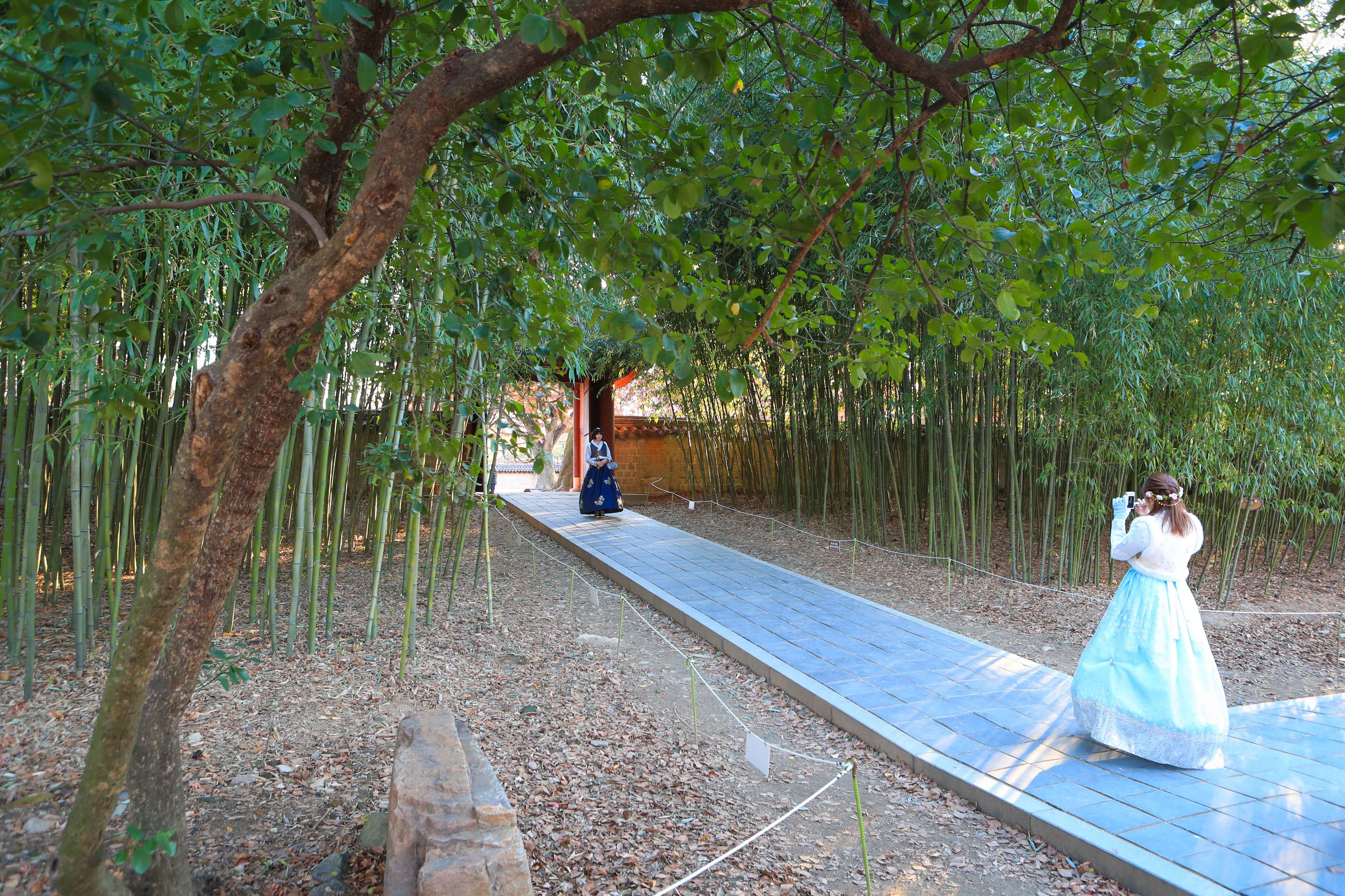 Jeonju gallery 1